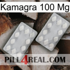 Kamagra 100 Mg 17